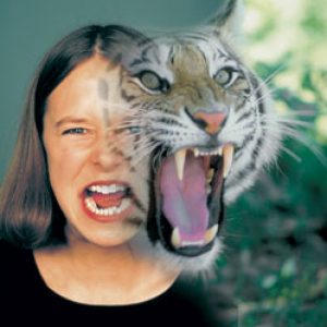 TLT-сброс отрицательных эмоций - Шестаков (2014)_0.jpg